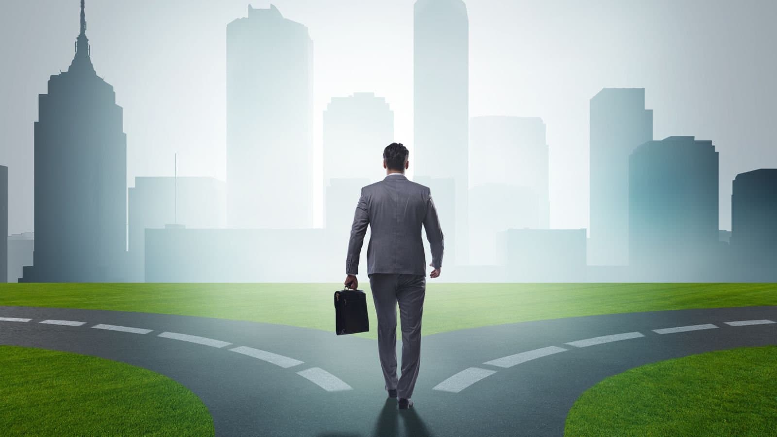 One Domain or Many: The Science of Digital Strategy