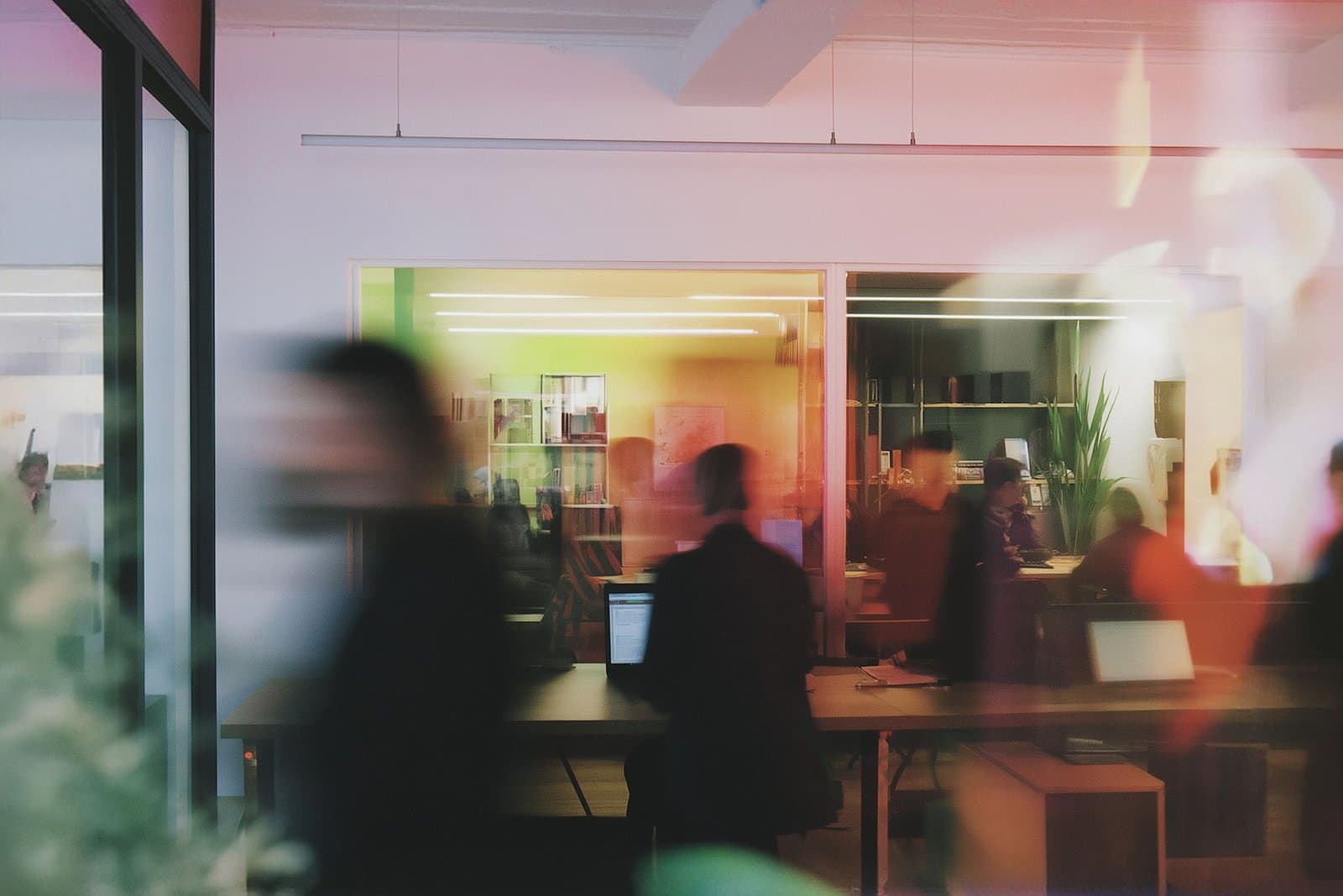 Quality Leads in Action: Case Studies That Prove ROI and Drive Growth