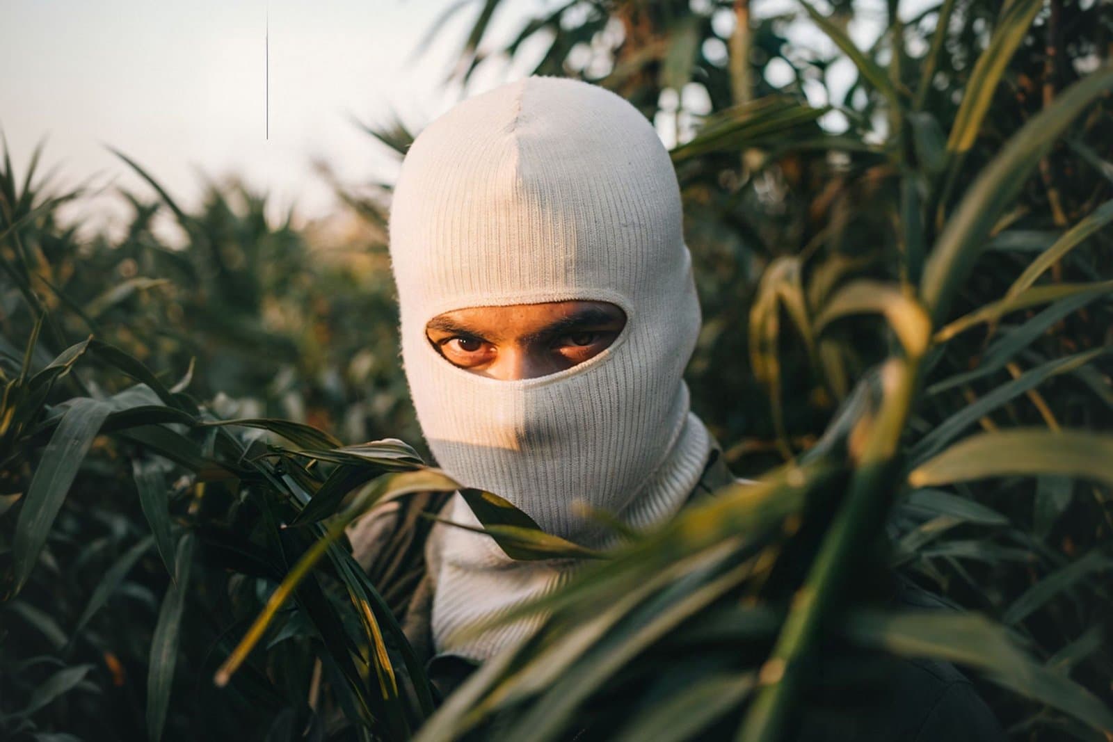 The Hidden Economy of Quality Leads: What No One Is Telling You